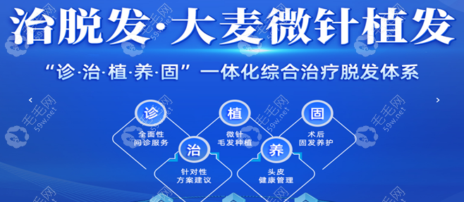 大麥微針植發(fā)優(yōu)惠